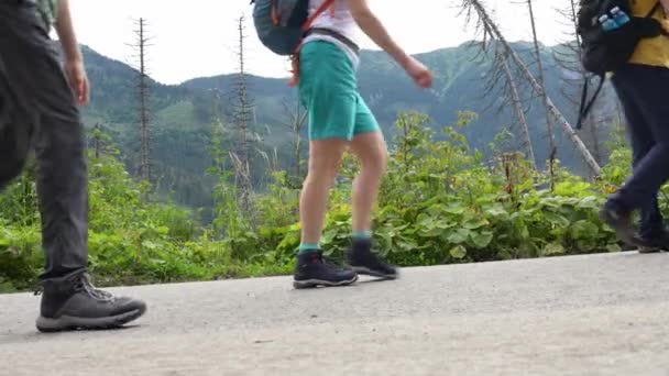 산길을 관광객 닫습니다 사람들은 모르스키 오코로 걸어갑니다 라이프 스타일 사람들이 — 비디오