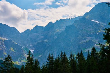 Yaz günü orman ağaçlarının yakınındaki dağların muhteşem manzarası. Polonya 'daki Tatra Ulusal Parkı