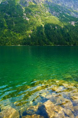 Yaz günü güzel göl kenarındaki dağların muhteşem manzarası. Polonya 'daki Tatra Ulusal Parkı. Beş Göl Vadisi 'ndeki Morskie Oko ya da Sea Eye Gölü' nün panoramik manzarası
