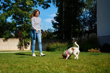 Aktif köpek yaz günü yeşil çimlerde oyuncak topuyla oynuyor. Kadın sahibi evcil hayvanla yürüyor. Hayvanlar ve insanlar arasındaki arkadaşlık..