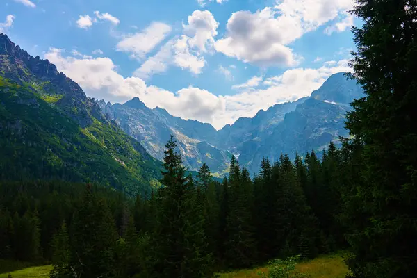 夏天的时候 在森林附近的山上 景色令人惊奇 Tatra National Park Poland — 图库照片
