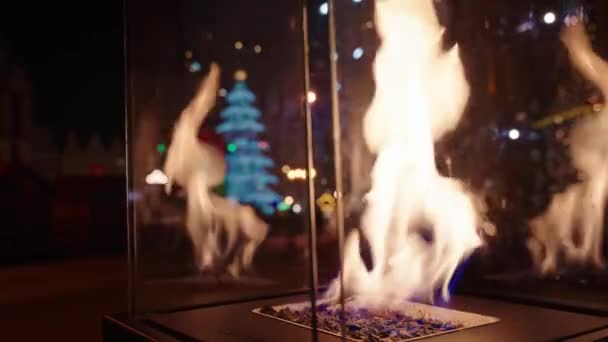 Горящее Пламя Внутри Стеклянной Лампочки Отражение Рождественской Елки Элемент Экстерьера — стоковое видео