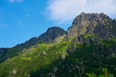 Yaz günü mavi bulutlu gökyüzü ve orman ağaçlarıyla kaplı dağların muhteşem manzarası. Polonya 'daki Tatra Ulusal Parkı