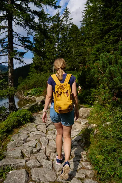 Back view of woman hiking in mountains with backpack. Female traveler walking in forest. Traveling in national park. Active recreation