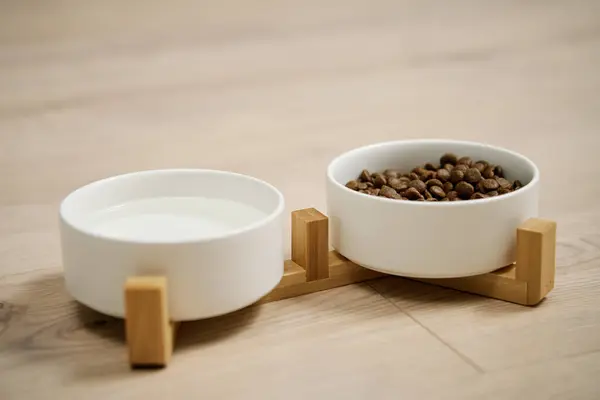 Bowls of dog food and water on kitchen floor, Animal feeding and pet care, Place to feed a pet