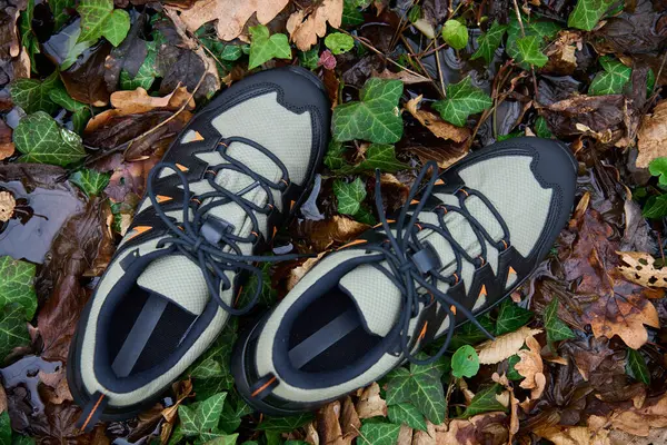 Hiking boots stands on forest floor, submerged in water puddle, surrounded by fallen leaves. Sturdy trekking shoes against a backdrop of forest terrain. Concept of exploration and outdoor activities