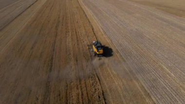 Tarım alanında çalışan bir hasat makinesi. Hasat makinası altın buğday tarlası topluyor. Hasat mevsimi