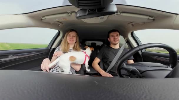 アクティブな犬と一緒に旅行するカップルの時間の経過 車内を走る犬と乗客席に車と女性を運転する男性ドライバー ペットと旅する — ストック動画