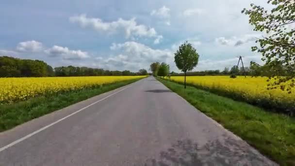 여름날에 필드와 도로를 경로에서 카메라의 포인트 — 비디오