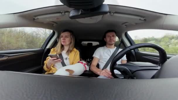 Temps Écoulé Couple Voyage Avec Chien Actif Conducteur Masculin Conduisant — Video