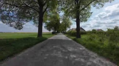 Yaz günü yol kenarında ağaçlarla boş bir yolda araba sürmek. Orman boyunca kırsal kesimde hareket eden ilk kamera görüntüsü