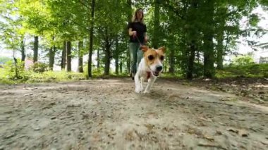 Güneşli bir günde parkta köpeğiyle birlikte yemyeşil ağaçlarla çevrili bir yolda yürüyor. Bayan ev sahibi ve evcil hayvan birlikte vakit geçiriyor. Aktif köpek yürürken tasmasını çeker