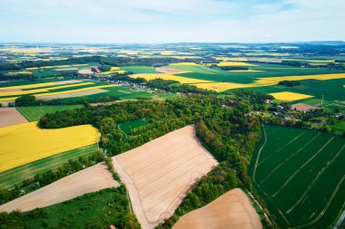 Sarı kolza tohumu tarlalı havadan manzara. Çiçek açan tarım alanlarının yamalı görünümlü doğa arkaplanı
