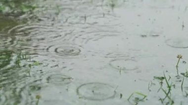 Su birikintisine düşen yağmur damlalarının yakın çekimi. Yağmurlu bir gün. Şiddetli yağmurlu kötü hava