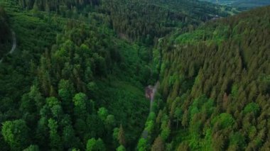 Yoğun ormanlarla kaplı dağların havadan görünüşü. Yaz günü yeşil ağaçların üzerinden uçacağız. Doğa manzarası