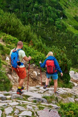 Sırt çantalı iki yürüyüşçünün ve kayalık dağ yolundan inen yürüyüş direklerinin arka görüntüsü. Dağ yürüyüşü konsepti. Doğada aktif bir eğlence. Karpacz, Polonya - 14 Temmuz 2023