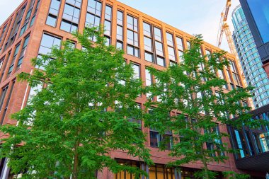 Yeşil ağaçlı modern çevre dostu ofis binaları. Çağdaş minimalist mimari. Şehirdeki ofis binasının kırmızı tuğladan duvarı. Temiz hava için yeşilliği olan modern mimari tasarım