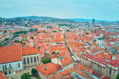 Bratislava Panoraması, Slovakya. Canlı kırmızı çatıları olan tarihi Avrupa şehrinin havadan görünüşü. Tarihi yapıları olan şehir manzarası