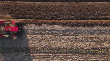 Kırmızı traktör tarlada çalışıyor, kuru toprak ekip biçiyor, hava manzarası var. Tarım sektörü konsepti. Küçük tarım kavramı