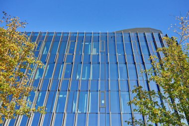 Sonbahar ağaçlarının mavi gökyüzüne karşı olduğu modern ofis binası. Çağdaş minimalist mimari. Yeşillik ile modern mimari tasarım