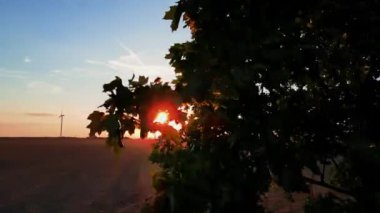Gün batımında kırsal alanda siluetli rüzgar türbinleri. Rüzgar santrali temiz enerji üretiyor. Yenilenebilir ve sürdürülebilir enerji kavramı