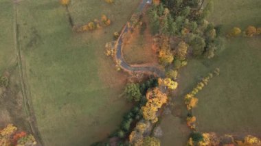 Kırsal yolda giden arabaların hava manzarası dağlardaki sonbahar ormanlarında dönüyorlar. Sonbahar mevsiminde doğal manzara