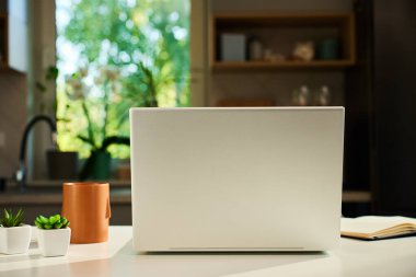 Bilgisayarlı minimalist ev ofisi, küçük saksı bitkileri ve arka planda mutfak içi olan beyaz masa üzerinde kahve fincanı. Evden uzak çalışma alanı