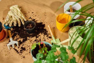 Bahçe aletleri, toprak ve yerde saksı bitkileri. Evde bahçe ve bitki bakımı kavramı