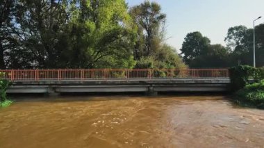 Kahverengi çamurlu sular yol köprüsünün altından akar. Şiddetli yağıştan sonra nehir taşmış. Doğal afet