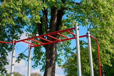 Parkta yeşil ağaçlı kırmızı açık hava maymun parmaklıkları. Spor egzersizleri için fitness sahası yatay merdiveni. Açık hava fitness, jimnastik eğitimi ve sağlıklı aktif yaşam tarzı kavramı