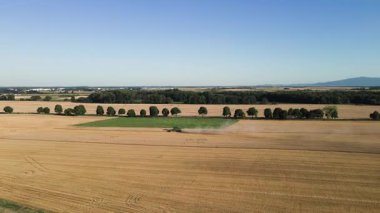 Yeşilliğin havadan görünüşü hasat makinesini tarlada mahsul topluyor. Tarım makinesi buğday kulakları hasat ediyor ve geride toz bırakıyor. Tarım ve tarım kavramı