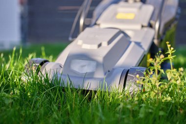 Bahçede güneşli bir günde çimen biçen elektrikli çim biçme makinesinin yakın çekimi. Bahçe işleri, bahçe bakımı ve peyzaj kavramı