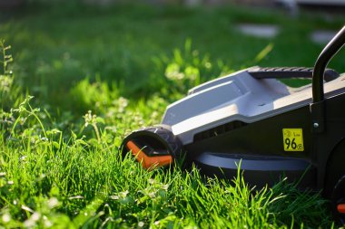 Bahçede güneşli bir günde çimen biçen elektrikli çim biçme makinesinin yakın çekimi. Bahçe işleri, bahçe bakımı ve peyzaj kavramı