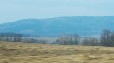 Yol gezisi sırasında hareket halindeki arabadan görünen çıplak ağaçlarla ve uzak tepelerle kırsal alan manzarası