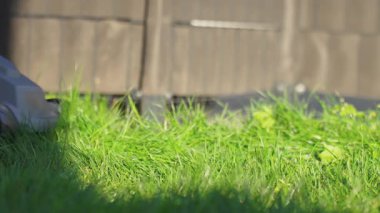 Arka bahçede çim biçmek için elektrikli çim biçme makinesi kullanan biri. Banliyö evinin yakınında çim biçen bir adam. Bahçe bakımı, bahçe bakımı ve açık hava işi kavramı