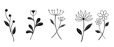Yaprak ve çiçek sapı el çizimi vektörü