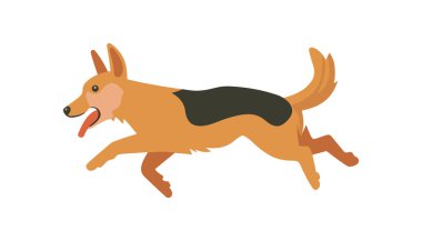 Beyaz arkaplan vektör illüstrasyonunda dili dışarıda koşan Alman çoban köpeği
