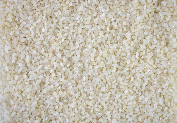 Background Polished Rice Copy Space — Stock Photo, Image