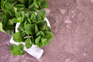 Gri bir zeminde, taştan bir havanda taze nane yaprakları. Düz kat. Uzayı kopyala..