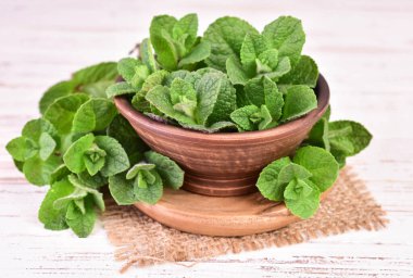 Beyaz ahşap bir arka planda, kilden bir kasede taze nane. Yakın plan..