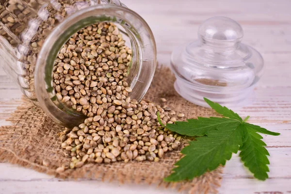 Hemp Seeds Hemp Leaves Cannabis Useful Seeds Jar Stock Image
