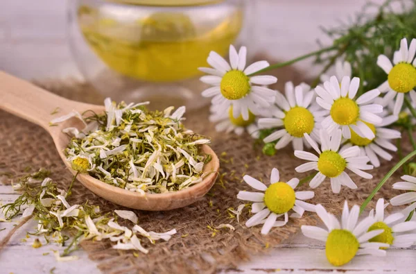 Dried chamomile for medicinal tea, homeopathic remedies.