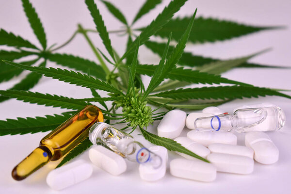 Лекарства производятся из конопли завода.