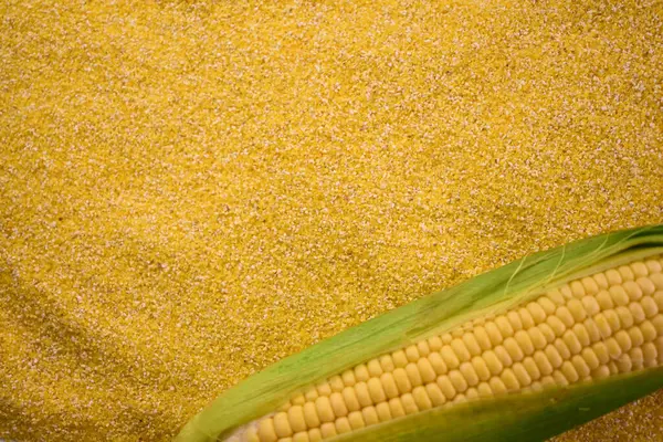 Corn grits and fresh corn. Flat lay. Copy space.