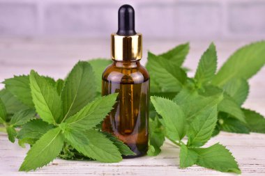 Nane özlü ya da arka planda taze nane yapraklı yağ. Seçici odak.