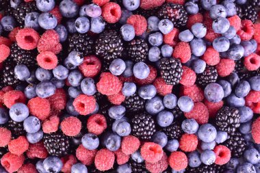  Ahududu, yaban mersini, böğürtlen. Düz lei.