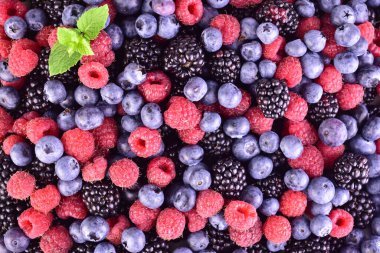 Ahududu, yaban mersini, böğürtlen. Düz lei.