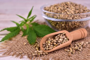 Tahta kaşıkta kenevir tohumu ve beyaz bir masada kenevir yaprağı..