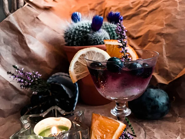 Bevanda Alcolica More Con Cubetto Ghiaccio Vetro Circondato Frutta Cactus — Foto Stock