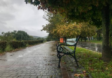 Şehir yolu yağmur altında. Yapraklarla ıslanmış banklar. Tuğla yol